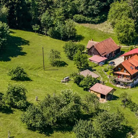 Schafgarbe Deggenhausertal